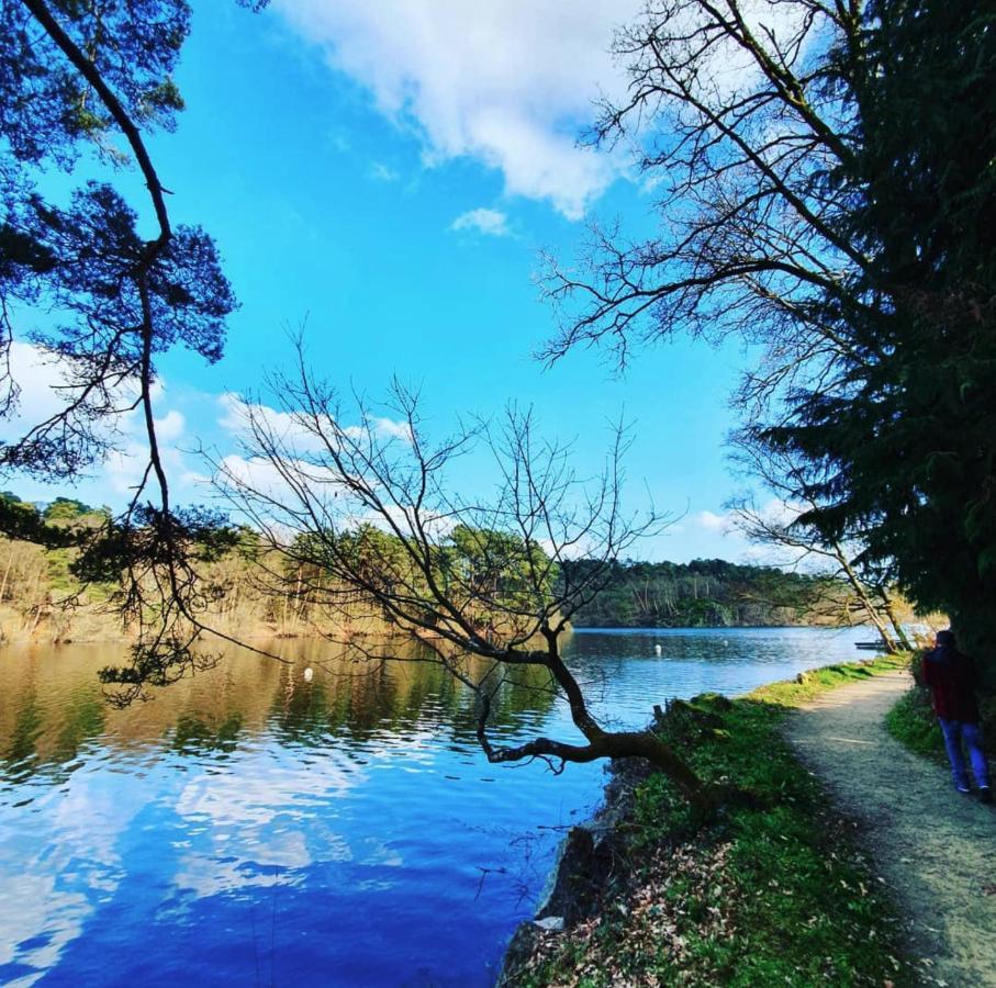 O Faya Cottage Votre Gite Calme Et Verdoyant En Bretagne Saint-Mayeux Eksteriør bilde